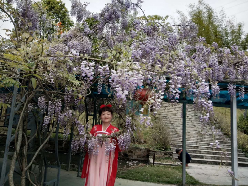 莉莉的第一张照片--云霄婚介网